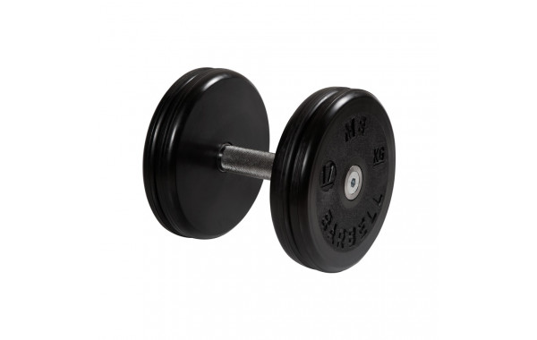 Гантель классик с вращающейся ручкой хром 17 кг MB Barbell MB-FdbEM-B17 600_380