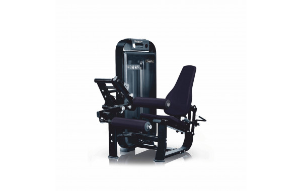 Сгибание ног UltraGym UG-DM505 600_380