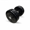 Неразборная гантель c вращающейся ручкой, 21 кг MB Barbell MB-FdbM-B21 120_120